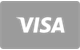 Visa debit and credit card payment option